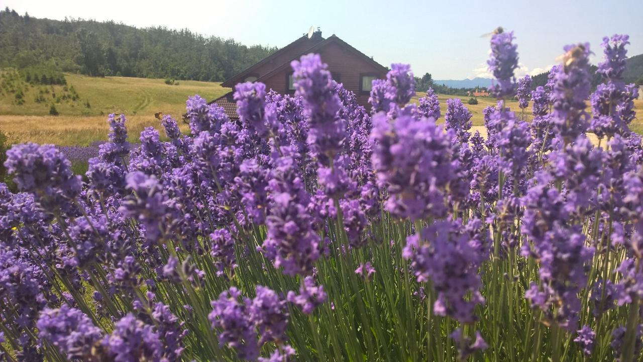Boutique B&B Japodi Mrkopalj Εξωτερικό φωτογραφία